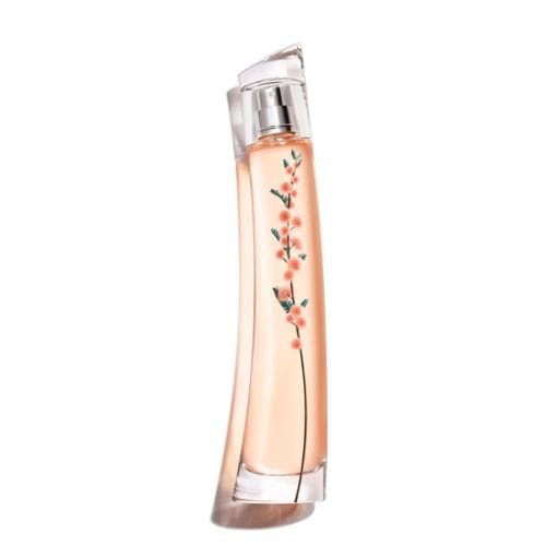 Flower Ikebana Mimosa — KENZO
