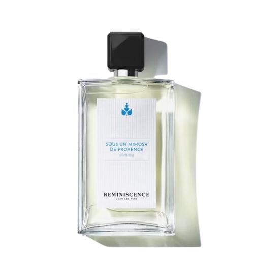 Sous un Mimosa de Provence — REMINISCENCE